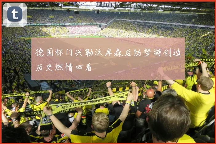 德国杯门兴勒沃库森后防梦游创造历史燃情回看