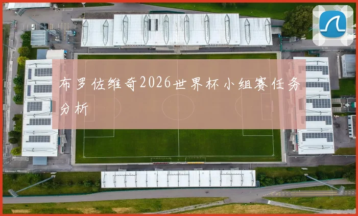 布罗佐维奇2026世界杯小组赛任务分析