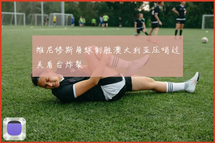 维尼修斯角球制胜澳大利亚压哨过关看台炸裂