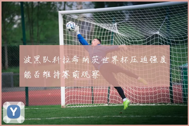 波黑队科拉希纳茨世界杯压迫强度能否维持赛前观察