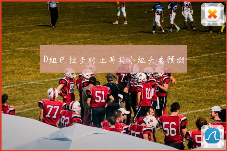 D组巴拉圭对土耳其小组头名预测