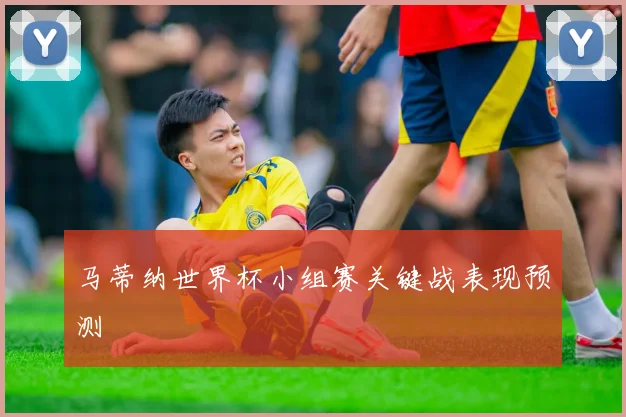 马蒂纳世界杯小组赛关键战表现预测