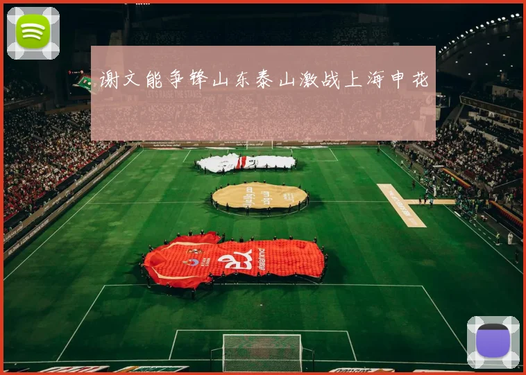 谢文能争锋山东泰山激战上海申花