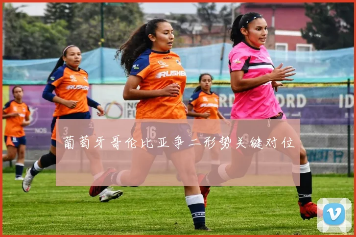 葡萄牙哥伦比亚争二形势关键对位