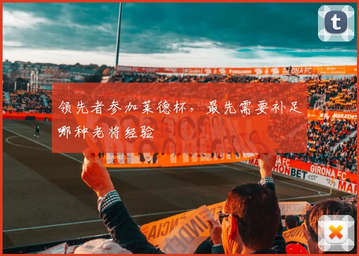 领先者参加莱德杯，最先需要补足哪种老将经验
